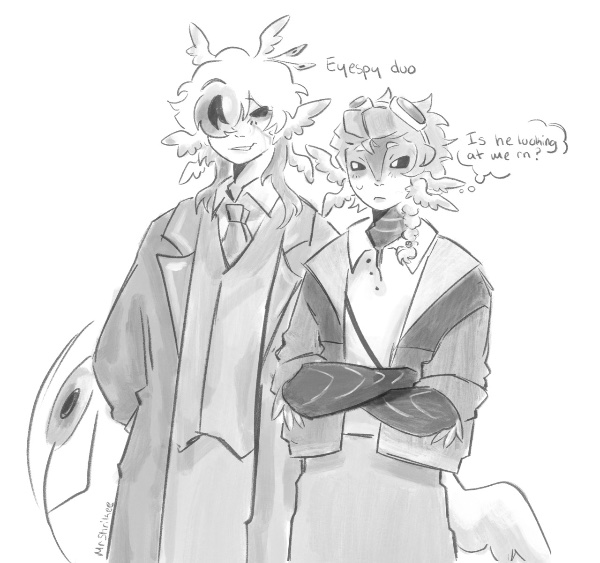 Eyespy Duo