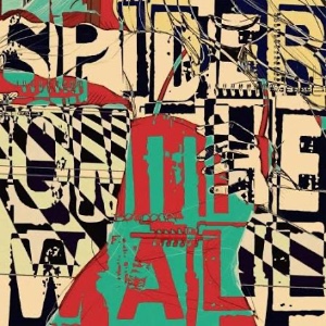 Spider on the wall