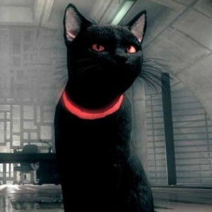 Black Kitty !!