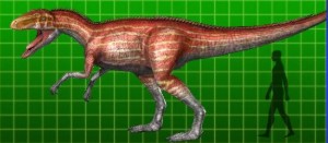 Afrovenator