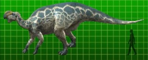 Altirhinus