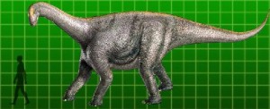 Camarasaurus