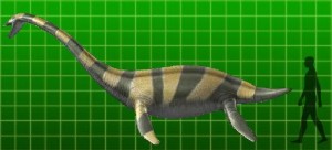 Muraenosaurus