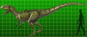 Neovenator