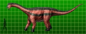 Opisthocoelicaudia