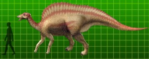 Ouranosaurus