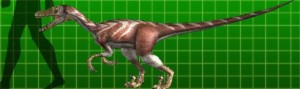 Velociraptor