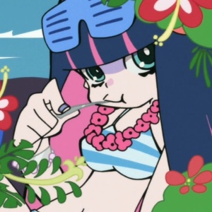 Stocking