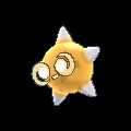 Orange Core Minior