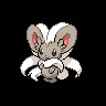 Cinccino