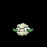 Cottonee