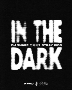 In The Dark (with Stray Kids)