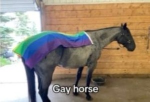 Gay Horse