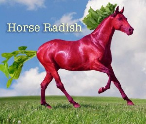 Horse Radish