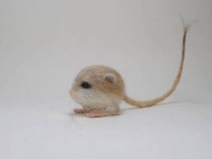 Jerboa