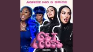 Get Loose Remix ft. Spice
