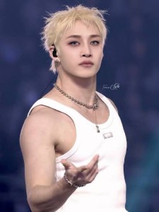 Chan - Stray Kids