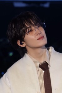 Wonwoo - Seventeen