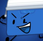 Cooler