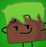 Grass Block