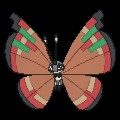 Archipelago Vivillon