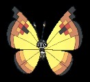 Continental Vivillon