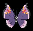 Elegant Vivillon