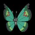 Garden Vivillon