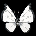 Icy Snow Vivillon