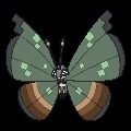 Jungle Vivillon