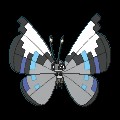 Monsoon Vivillon