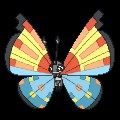 Ocean Vivillon