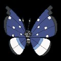 Polar Vivillon