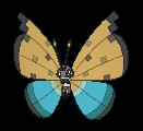 River Vivillon
