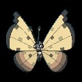 Sandstorm Vivillon
