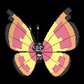 Sun Vivillon