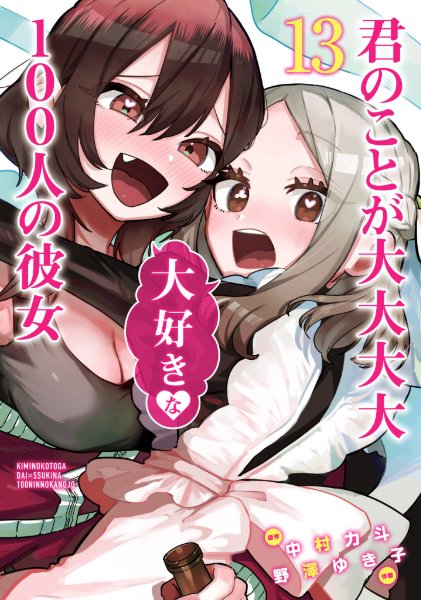 Volume 13