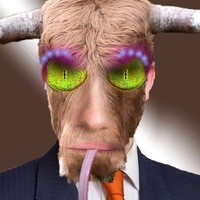 Bull Guy