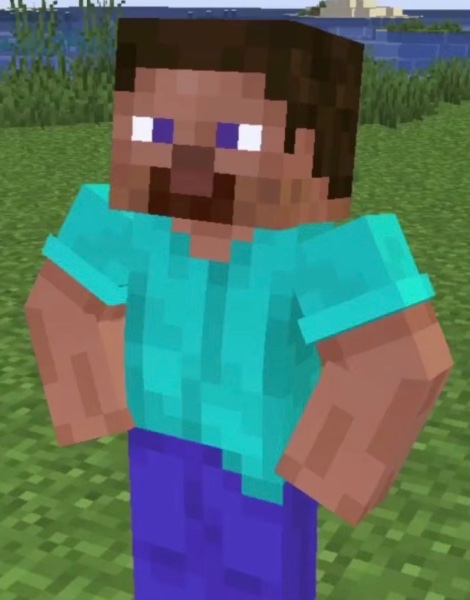 Steve