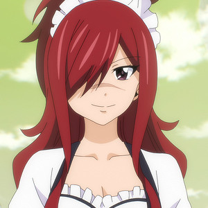 Erza Knightwalker