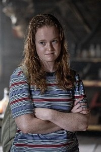 van palmer