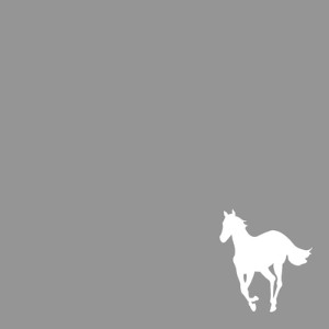2214-white-pony_061034