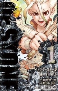 DR STONE