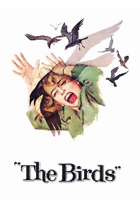 The Birds