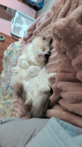 cuteness overload