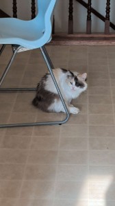awe