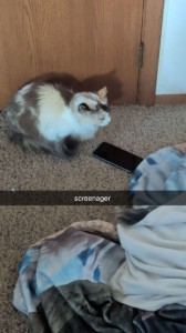 lol