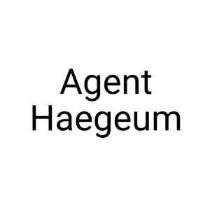 Agent Haegeum