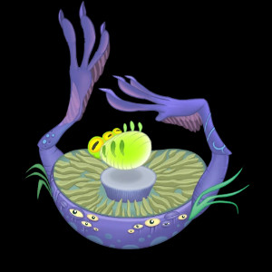 Squot