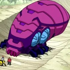 The tick